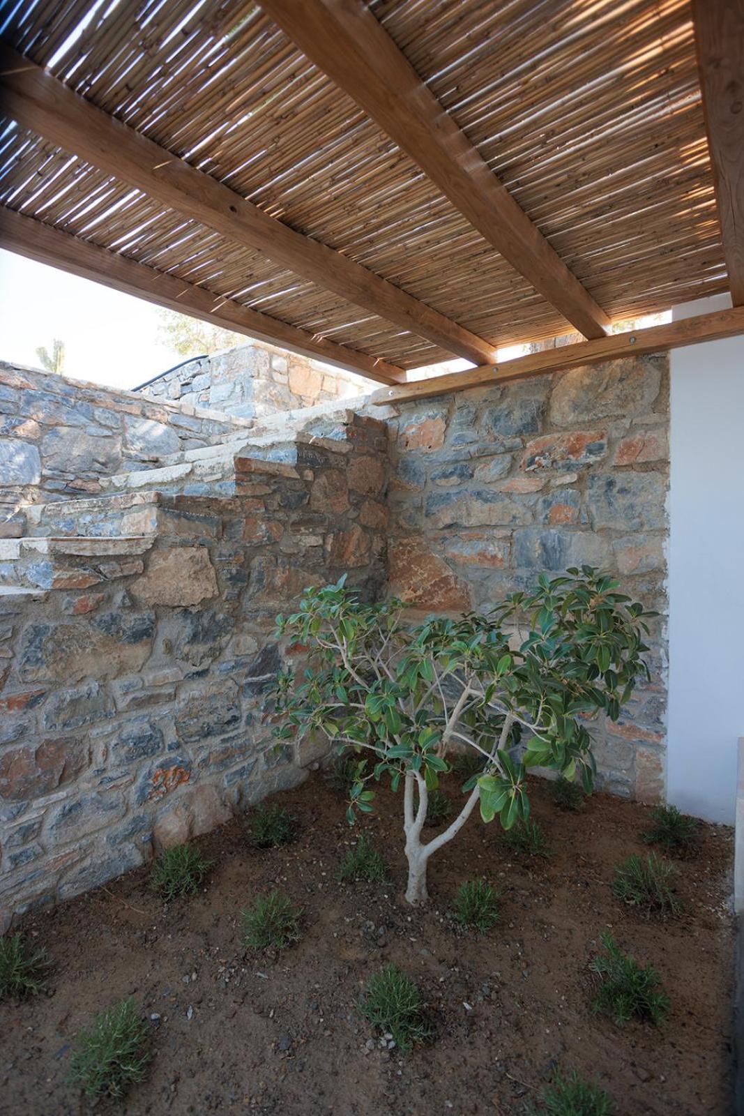 Evdokia - Luxury Olive Yard Apartment With Aegean View Moutsoúna エクステリア 写真