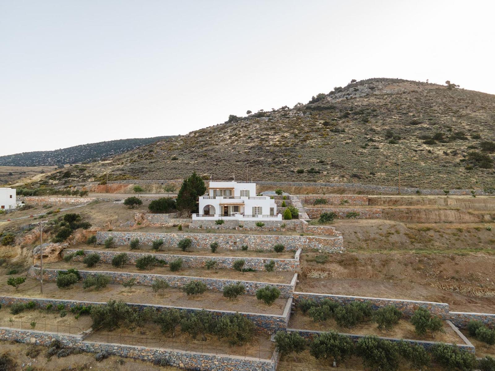 Evdokia - Luxury Olive Yard Apartment With Aegean View Moutsoúna エクステリア 写真